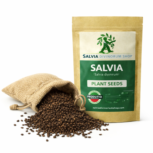 salvia divinorum seeds online