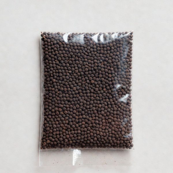 salvia divinorum seeds