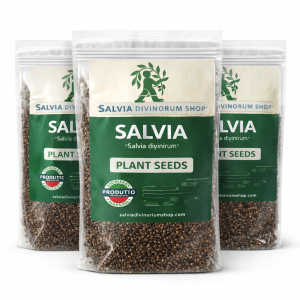 salvia divinorum seeds online